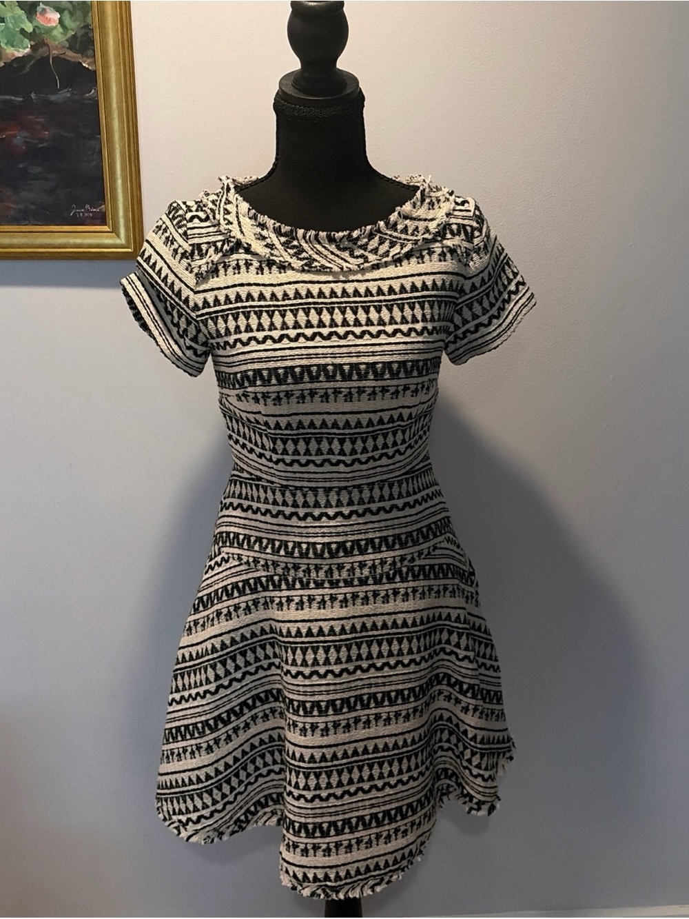 Banana Republic Dress Fit Flare Classic Quiet Luxury Old Money Preppy Fringe